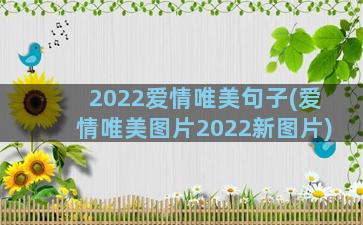 2022爱情唯美句子(爱情唯美图片2022新图片)