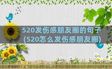 520发伤感朋友圈的句子(520怎么发伤感朋友圈)