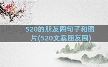 520的朋友圈句子和图片(520文案朋友圈)