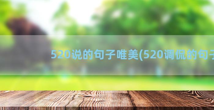 520说的句子唯美(520调侃的句子)