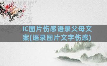 IC图片伤感语录父母文案(语录图片文字伤感)