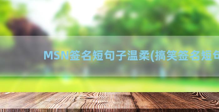 MSN签名短句子温柔(搞笑签名短句子)