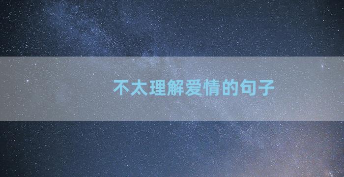 不太理解爱情的句子