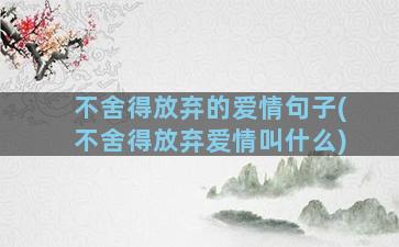 不舍得放弃的爱情句子(不舍得放弃爱情叫什么)