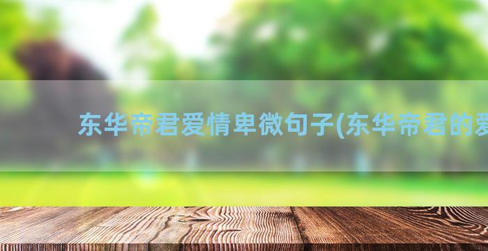 东华帝君爱情卑微句子(东华帝君的爱情)