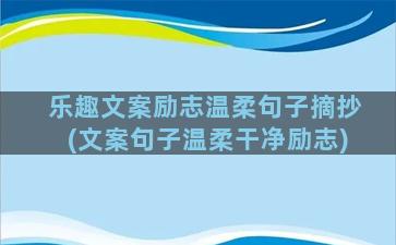 乐趣文案励志温柔句子摘抄(文案句子温柔干净励志)