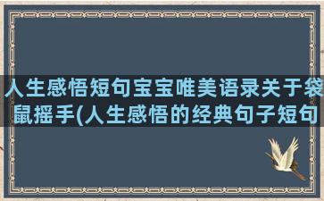 人生感悟短句宝宝唯美语录关于袋鼠摇手(人生感悟的经典句子短句)