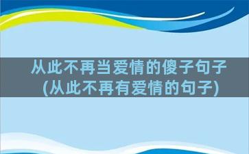 从此不再当爱情的傻子句子(从此不再有爱情的句子)