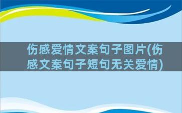 伤感爱情文案句子图片(伤感文案句子短句无关爱情)