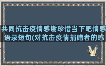 共同抗击疫情感谢珍惜当下吧情感语录短句(对抗击疫情捐赠者的感谢)