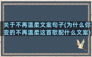 关于不再温柔文案句子(为什么你变的不再温柔这首歌配什么文案)