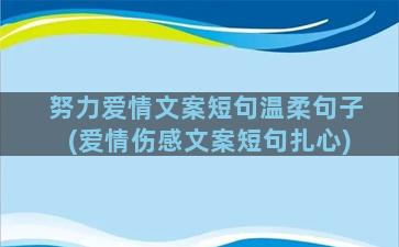 努力爱情文案短句温柔句子(爱情伤感文案短句扎心)