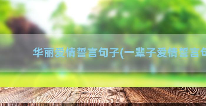 华丽爱情誓言句子(一辈子爱情誓言句子)