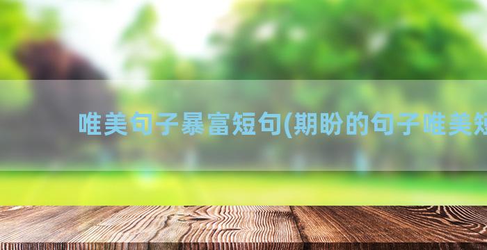 唯美句子暴富短句(期盼的句子唯美短句)