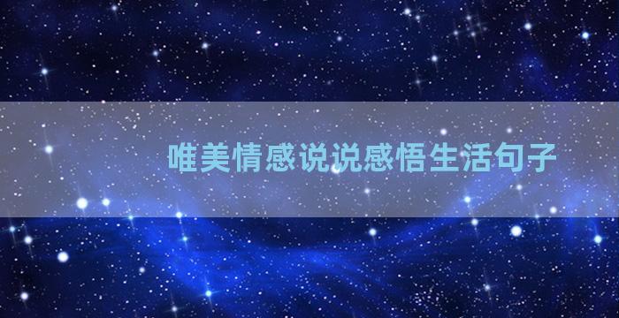 唯美情感说说感悟生活句子