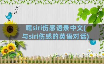 嘿siri伤感语录中文(与siri伤感的英语对话)