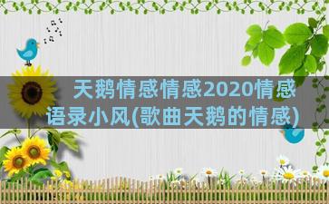 天鹅情感情感2020情感语录小风(歌曲天鹅的情感)