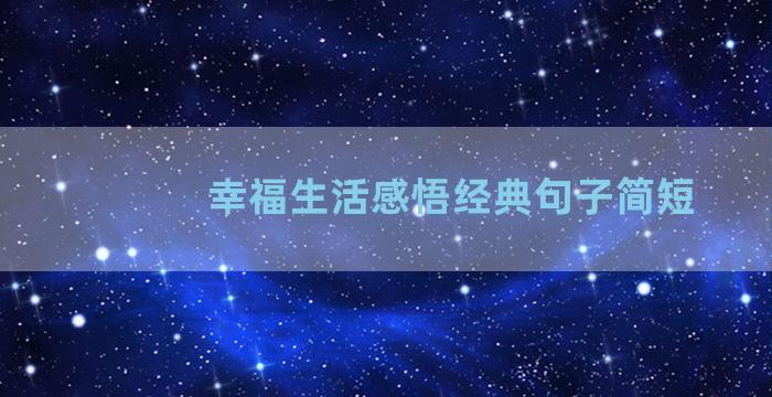 幸福生活感悟经典句子简短