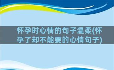 怀孕时心情的句子温柔(怀孕了却不能要的心情句子)