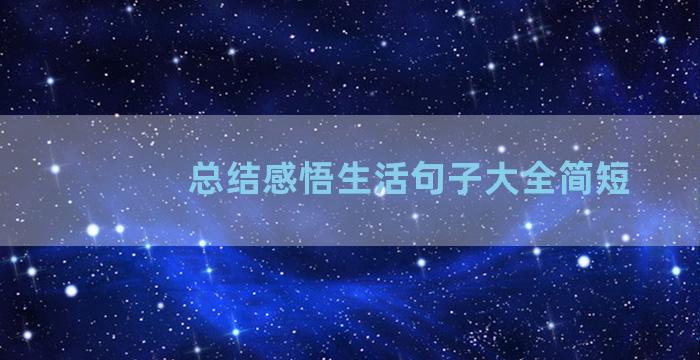 总结感悟生活句子大全简短