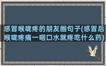 感冒喉咙疼的朋友圈句子(感冒后喉咙疼痛一咽口水就疼吃什么药)