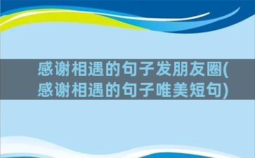 感谢相遇的句子发朋友圈(感谢相遇的句子唯美短句)