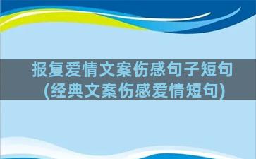 报复爱情文案伤感句子短句(经典文案伤感爱情短句)