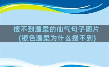 搜不到温柔的仙气句子图片(银色温柔为什么搜不到)