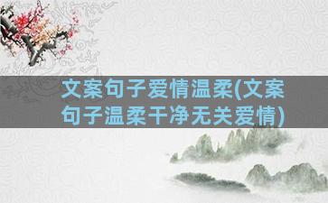 文案句子爱情温柔(文案句子温柔干净无关爱情)