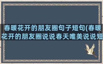 春暖花开的朋友圈句子短句(春暖花开的朋友圈说说春天唯美说说短句)