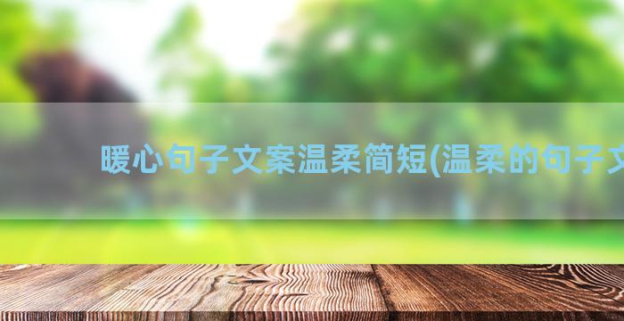 暖心句子文案温柔简短(温柔的句子文案)