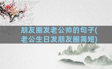 朋友圈发老公帅的句子(老公生日发朋友圈简短)