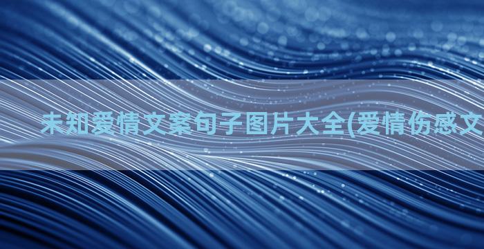 未知爱情文案句子图片大全(爱情伤感文案短句子)