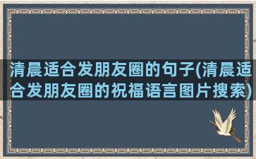 清晨适合发朋友圈的句子(清晨适合发朋友圈的祝福语言图片搜索)