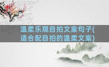 温柔乐观自拍文案句子(适合配自拍的温柔文案)