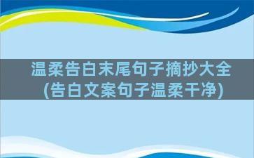 温柔告白末尾句子摘抄大全(告白文案句子温柔干净)