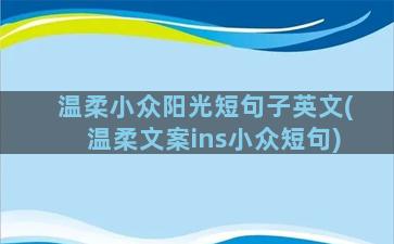 温柔小众阳光短句子英文(温柔文案ins小众短句)