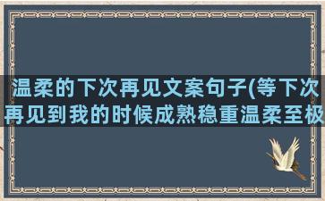 温柔的下次再见文案句子(等下次再见到我的时候成熟稳重温柔至极)