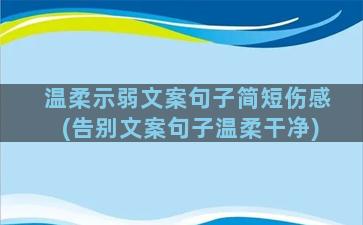 温柔示弱文案句子简短伤感(告别文案句子温柔干净)