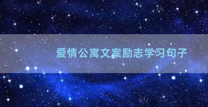 爱情公寓文案励志学习句子