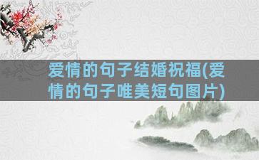 爱情的句子结婚祝福(爱情的句子唯美短句图片)