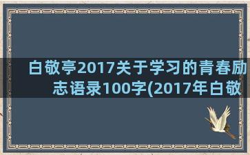白敬亭2017关于学习的青春励志语录100字(2017年白敬亭多少岁)