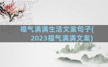 福气满满生活文案句子(2023福气满满文案)