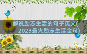 解说励志生活的句子英文(2023最火励志生活金句)