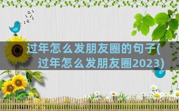 过年怎么发朋友圈的句子(过年怎么发朋友圈2023)